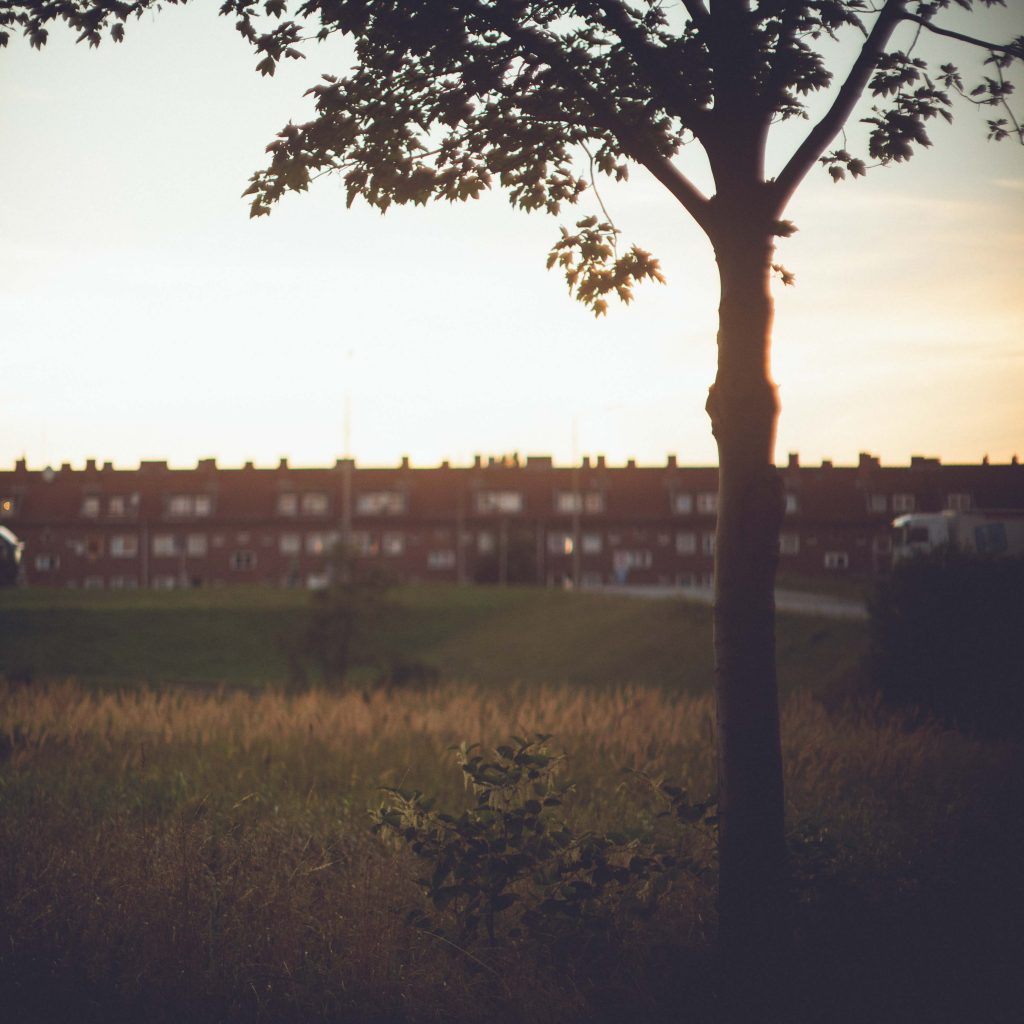 Wilhelmsburg_Gründerzeit