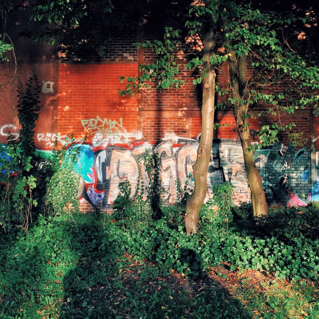 Wilhelmsburg_gegenüber Soulkitchen-Halle